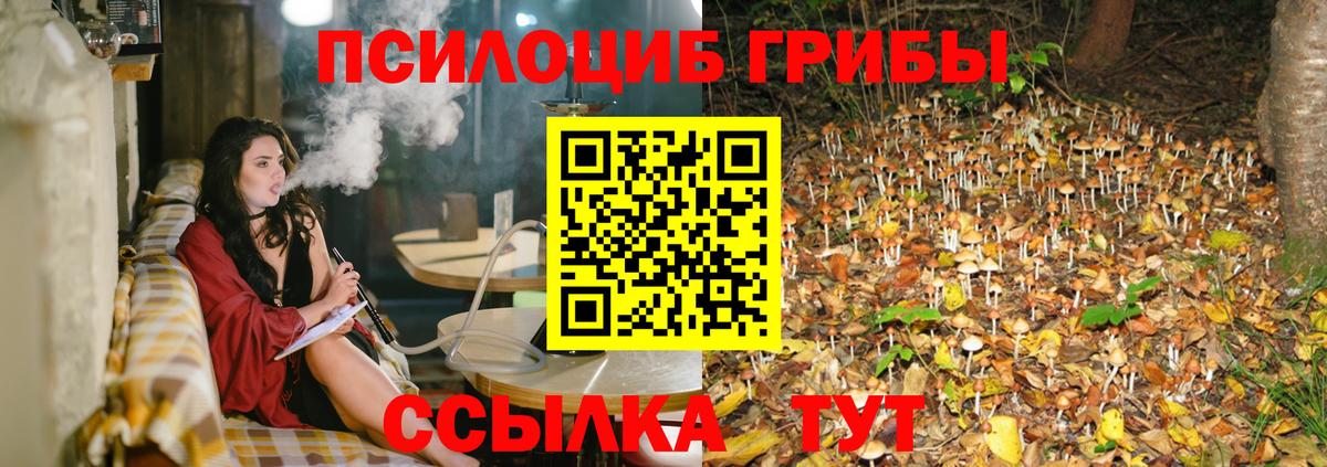 Северодвинск  Галлюциногенные грибы GOLDEN TEACHER  Вход с VPN  Псилоцибиновые грибы Psilocybe 